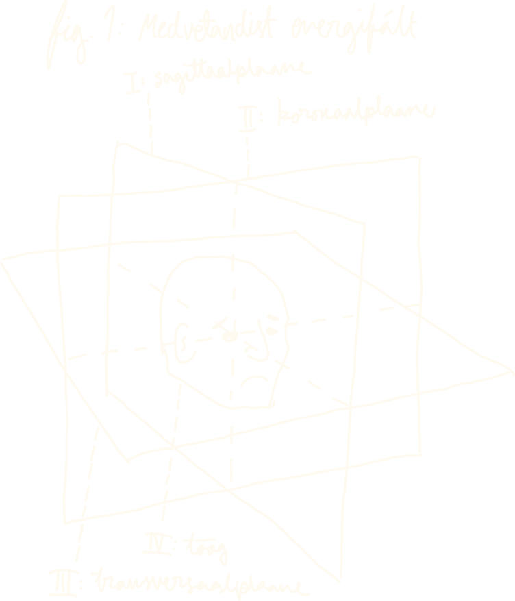 Medvetandist Medvetandist